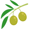 olive1-icon
